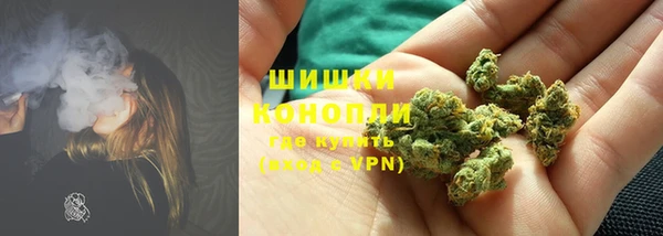 СК Бородино