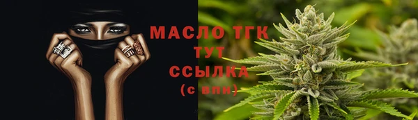 СК Бородино