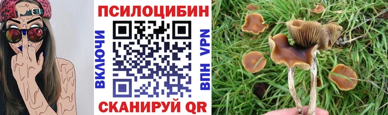 цены   Лыткарино  Псилоцибиновые грибы мухоморы 